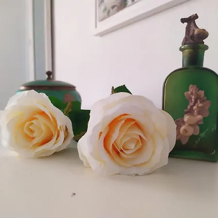 Pregonda 13 Menorca * Son Parc